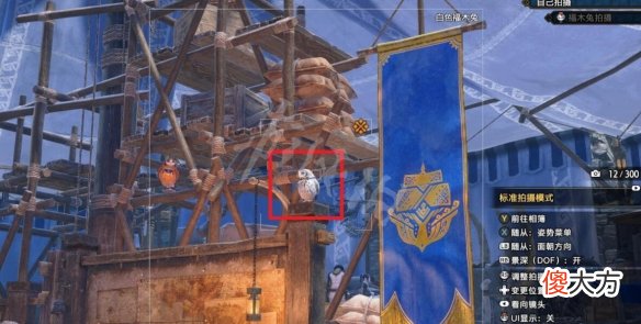 怪物猎人崛起曙光福木兔拍照任务怎么做_曙光福木兔窝位置分享