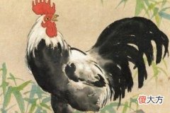 一月出生的属鸡人命运好吗