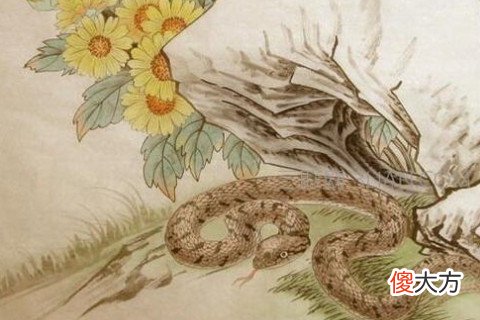 二月出生的属蛇人命运好吗