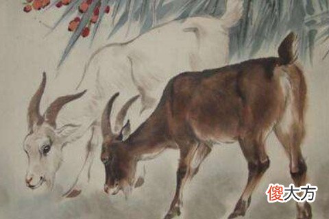 二月出生的属羊人命运好吗