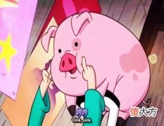 属猪人一生有哪些灾难