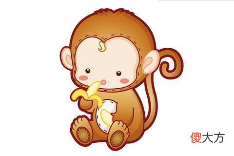 二月出生的属猴人命运好吗