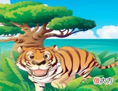 属虎什么时辰出生命苦
