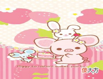 属猪人开店摆放什么招财