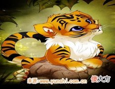 属虎纹身纹什么旺财