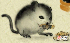 女命属鼠的人2019年每月运势