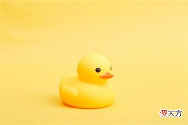 梦见黄色_做梦梦到黄色是什么意思