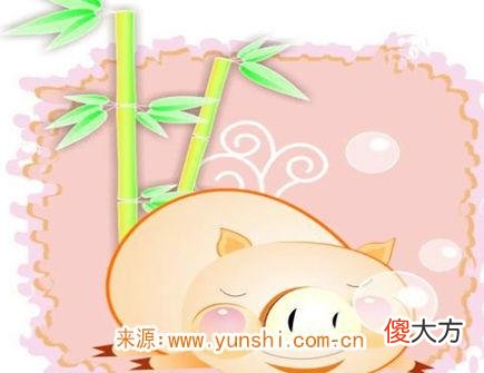 属猪什么时辰出生命苦