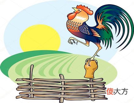 属鸡起名忌讳什么