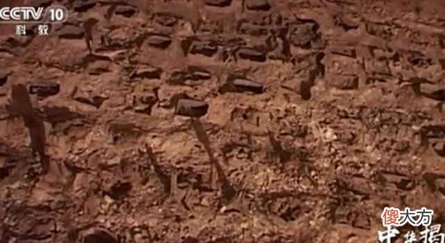 【历史故事】2005年，湖北出土一男七女合葬墓，开墓门前出现一片白雾吓坏专家