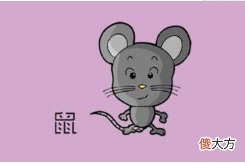 八月出生的属鼠人命运好吗