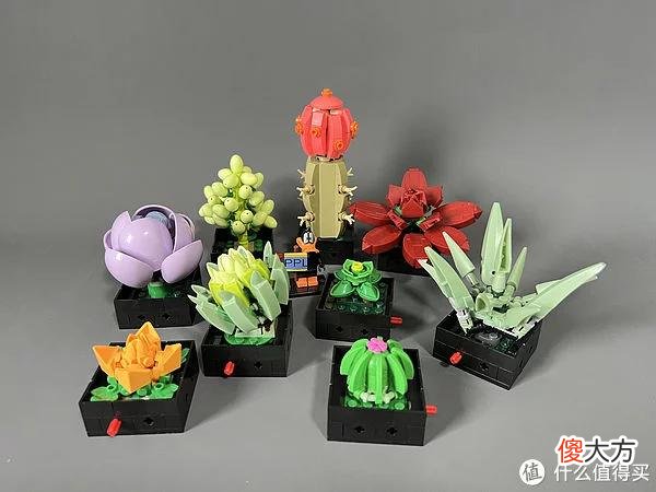 【就爱时尚】拼拼乐积木测评 篇二：测评系列：国产定制版积木【多肉植物】实拍