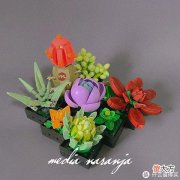【就爱时尚】拼拼乐积木测评 篇二：测评系列：国产定制版积木【多肉植物】实拍