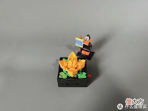 【就爱时尚】拼拼乐积木测评 篇二：测评系列：国产定制版积木【多肉植物】实拍
