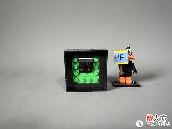 【就爱时尚】拼拼乐积木测评 篇二：测评系列：国产定制版积木【多肉植物】实拍