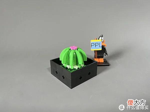 【就爱时尚】拼拼乐积木测评 篇二：测评系列：国产定制版积木【多肉植物】实拍