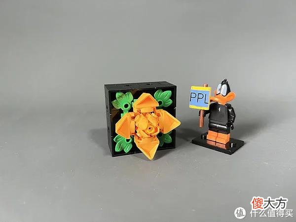 【就爱时尚】拼拼乐积木测评 篇二：测评系列：国产定制版积木【多肉植物】实拍
