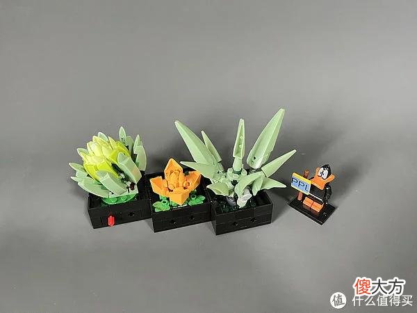 【就爱时尚】拼拼乐积木测评 篇二：测评系列：国产定制版积木【多肉植物】实拍
