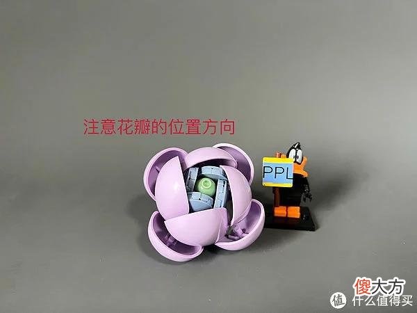 【就爱时尚】拼拼乐积木测评 篇二：测评系列：国产定制版积木【多肉植物】实拍