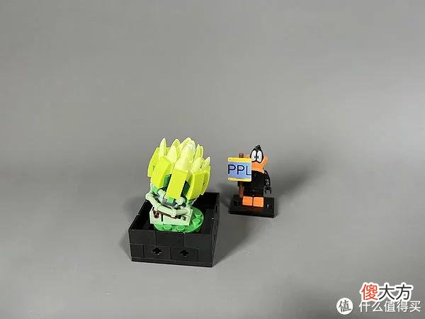 【就爱时尚】拼拼乐积木测评 篇二：测评系列：国产定制版积木【多肉植物】实拍