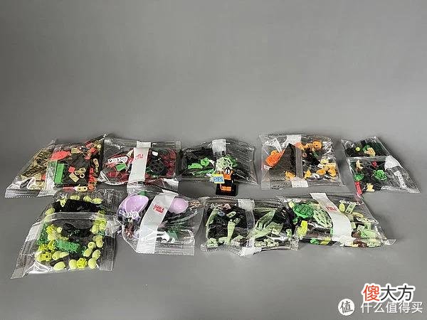 【就爱时尚】拼拼乐积木测评 篇二：测评系列：国产定制版积木【多肉植物】实拍