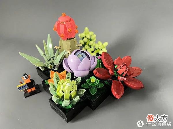 【就爱时尚】拼拼乐积木测评 篇二：测评系列：国产定制版积木【多肉植物】实拍