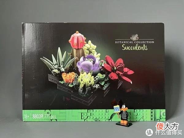 【就爱时尚】拼拼乐积木测评 篇二：测评系列：国产定制版积木【多肉植物】实拍