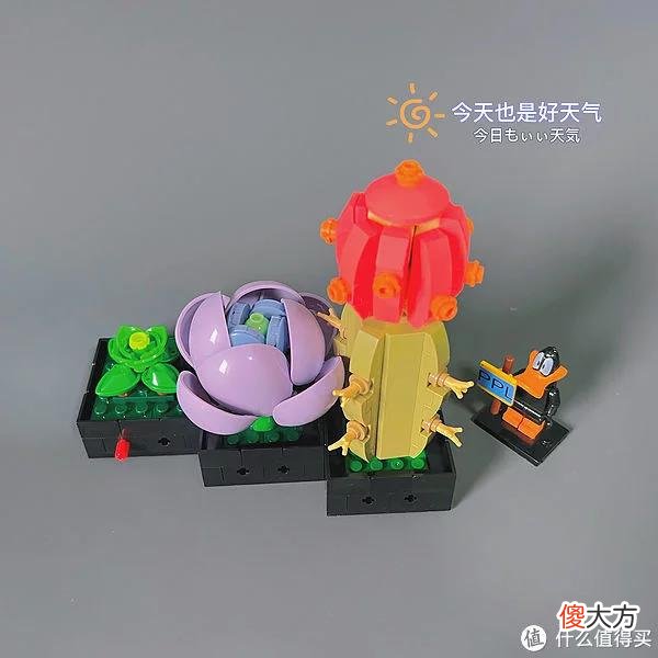 【就爱时尚】拼拼乐积木测评 篇二：测评系列：国产定制版积木【多肉植物】实拍