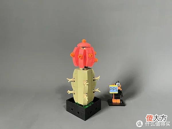 【就爱时尚】拼拼乐积木测评 篇二：测评系列：国产定制版积木【多肉植物】实拍