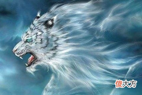 十月出生的属虎人命运好吗