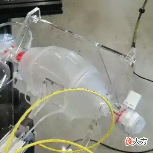 【就爱时尚】熬油补裤裆，成了最新的时尚物语