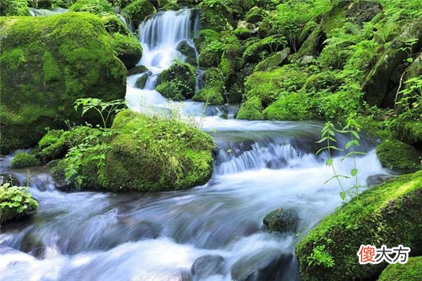 梦见河流_做梦梦到河流是什么意思
