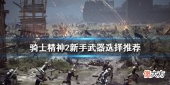 骑士精神2新手该怎么玩_新手武器选择推荐