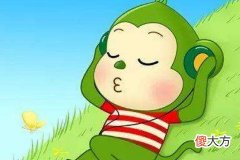 十月出生的属猴人命运好吗