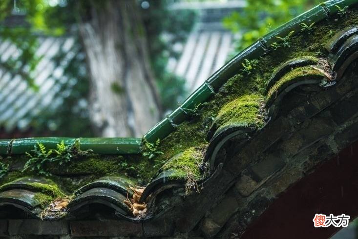 【历史故事】刘阿斗下诏修建的“天下第一武侯祠”竟不在成都,你知道在那里吗