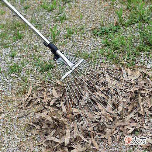【爱历史】民间故事：明末日照事（4