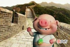 十一月出生的属猪人命运好吗