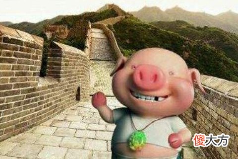 十一月出生的属猪人命运好吗