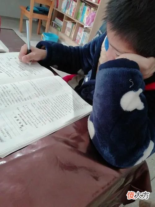 “一写作业,鸡飞狗跳”真相:不是孩子不上道,而是家长错得离谱