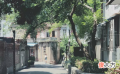 属鼠人2019年人缘运如何