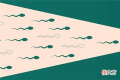梦见精子_做梦梦到精子是什么意思