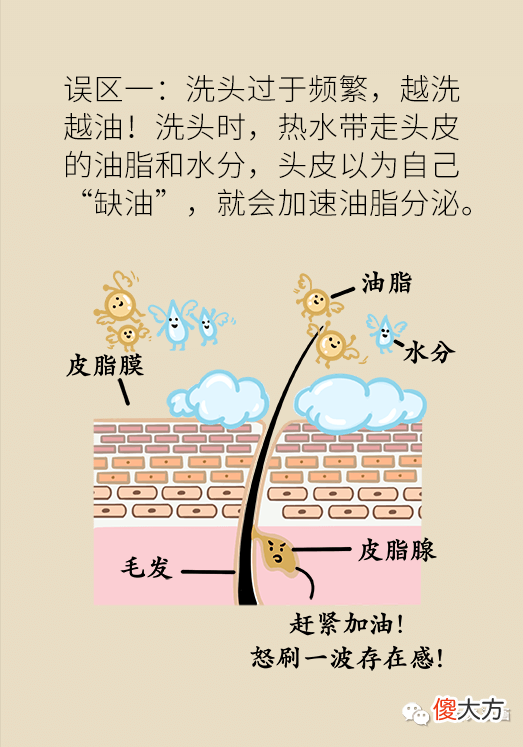 【就爱时尚】头油头痒头屑多，发丝干枯还分叉！可能是因为洗头洗不对！