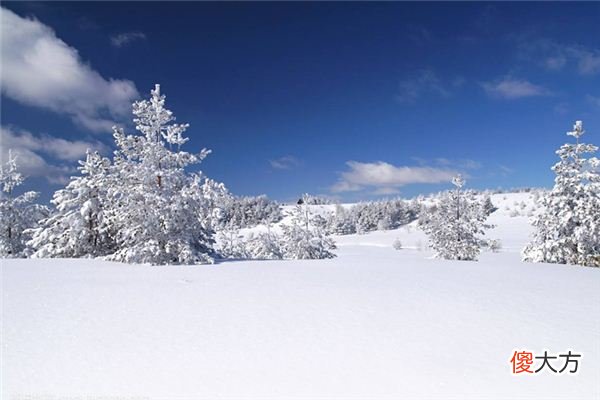 梦见积雪_做梦梦到积雪是什么意思