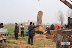 梦见修坟_做梦梦到修坟是什么意思
