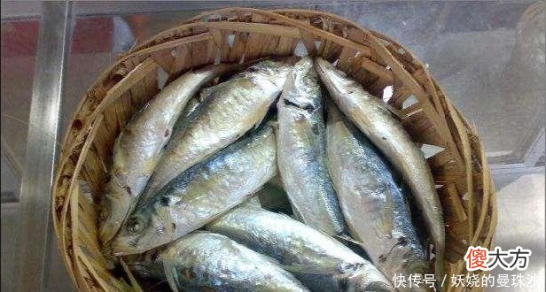 【历史故事】刘伯温去世前，送了朱元璋一筐鱼，为何朱元璋17年后才明白！