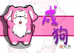 属狗床头朝哪个方向好