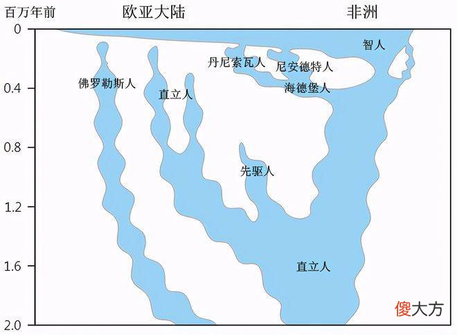 【历史故事】普莱斯夫人：人类的起源以及演化问题将被改写？
