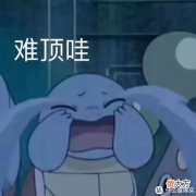 【就爱时尚】家居好物 篇九十八：筋膜枪怎么选？筋膜枪哪个牌子好？有品mini VS 云麦CC极限二