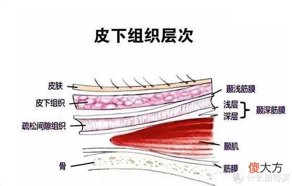 【就爱时尚】家居好物 篇九十八：筋膜枪怎么选？筋膜枪哪个牌子好？有品mini VS 云麦CC极限二选一！