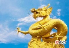 属龙的幸运花是什么花